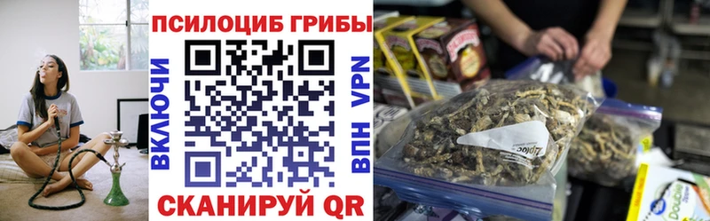 Псилоцибиновые грибы мицелий  купить наркотик  Строитель 
